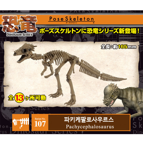 리멘트 포즈스켈레톤 공룡시리즈 107 파키케팔로사우러스 
