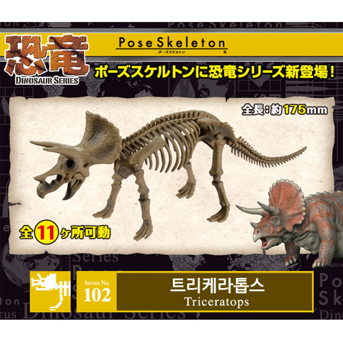 리멘트 포즈스켈레톤 공룡시리즈 102  트리케라톱스
